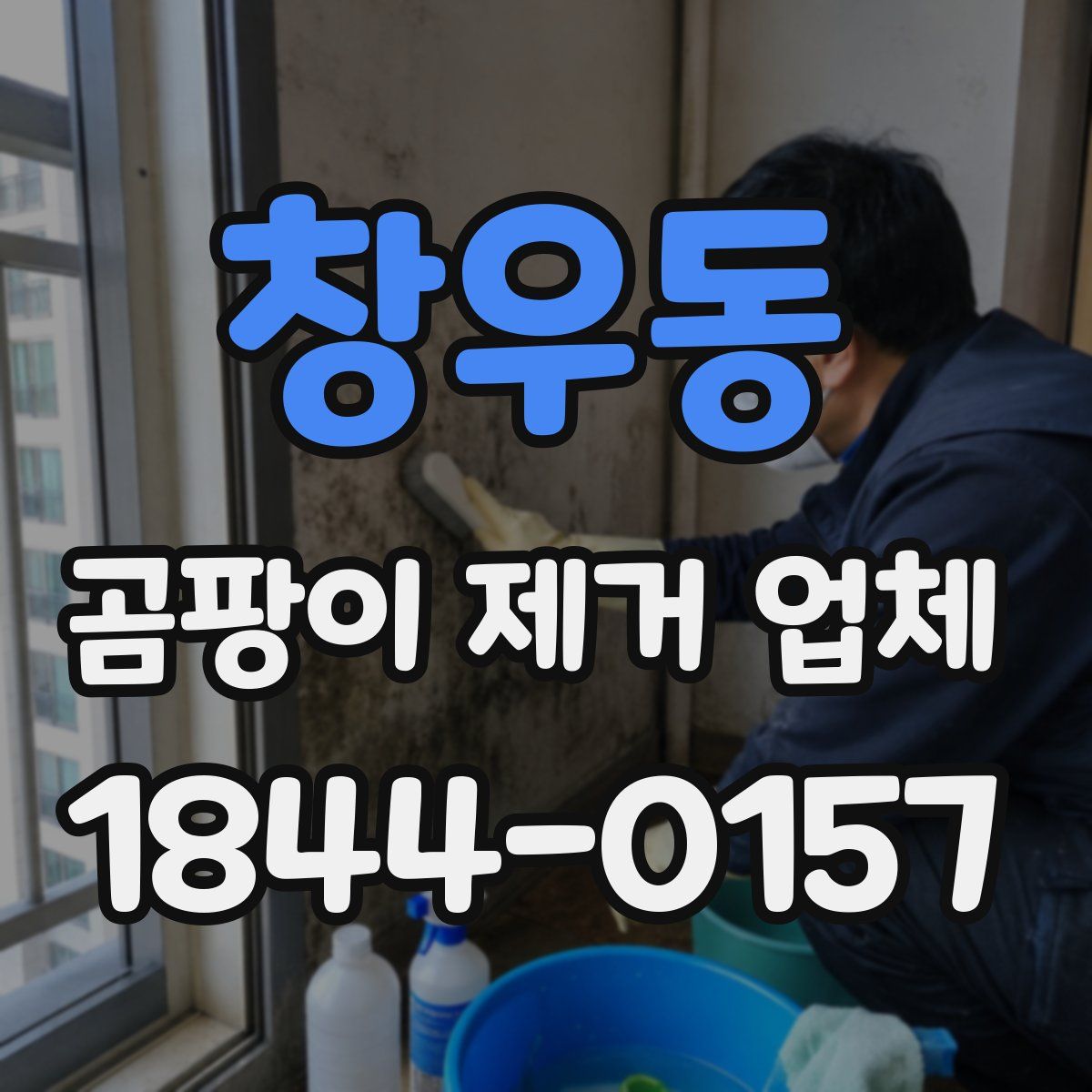 창우동 곰팡이 제거 업체