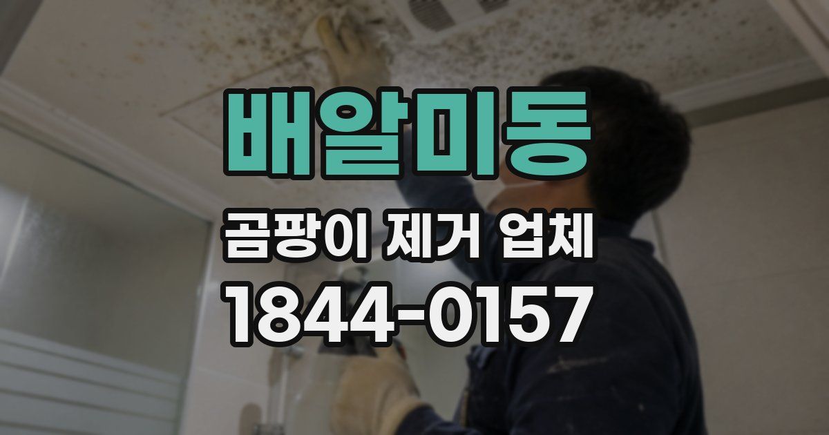 배알미동 곰팡이 제거 업체