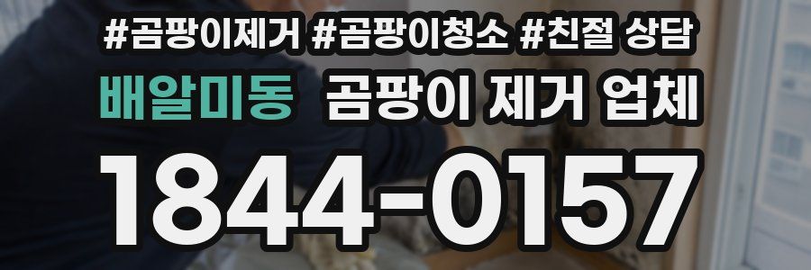 배알미동 곰팡이 제거 업체