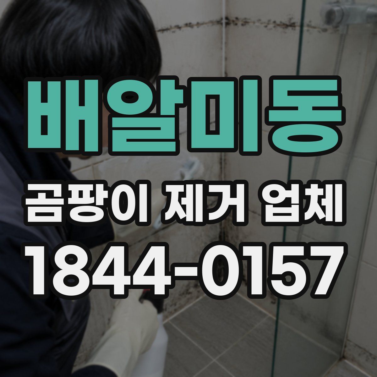 배알미동 곰팡이 제거 업체