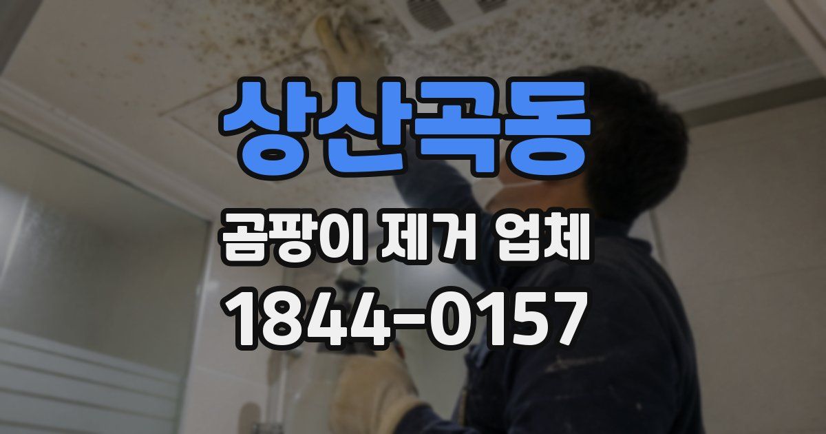 상산곡동 곰팡이 제거 업체