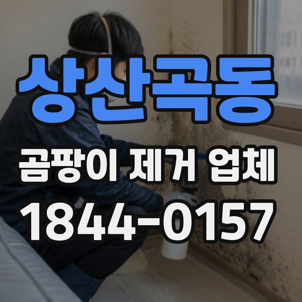 상산곡동 곰팡이 제거 업체