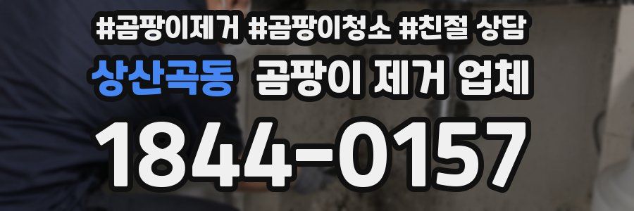 상산곡동 곰팡이 제거 업체