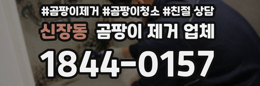 신장동 곰팡이 제거 업체
