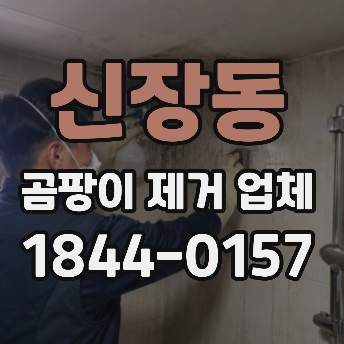 신장동 곰팡이 제거 업체