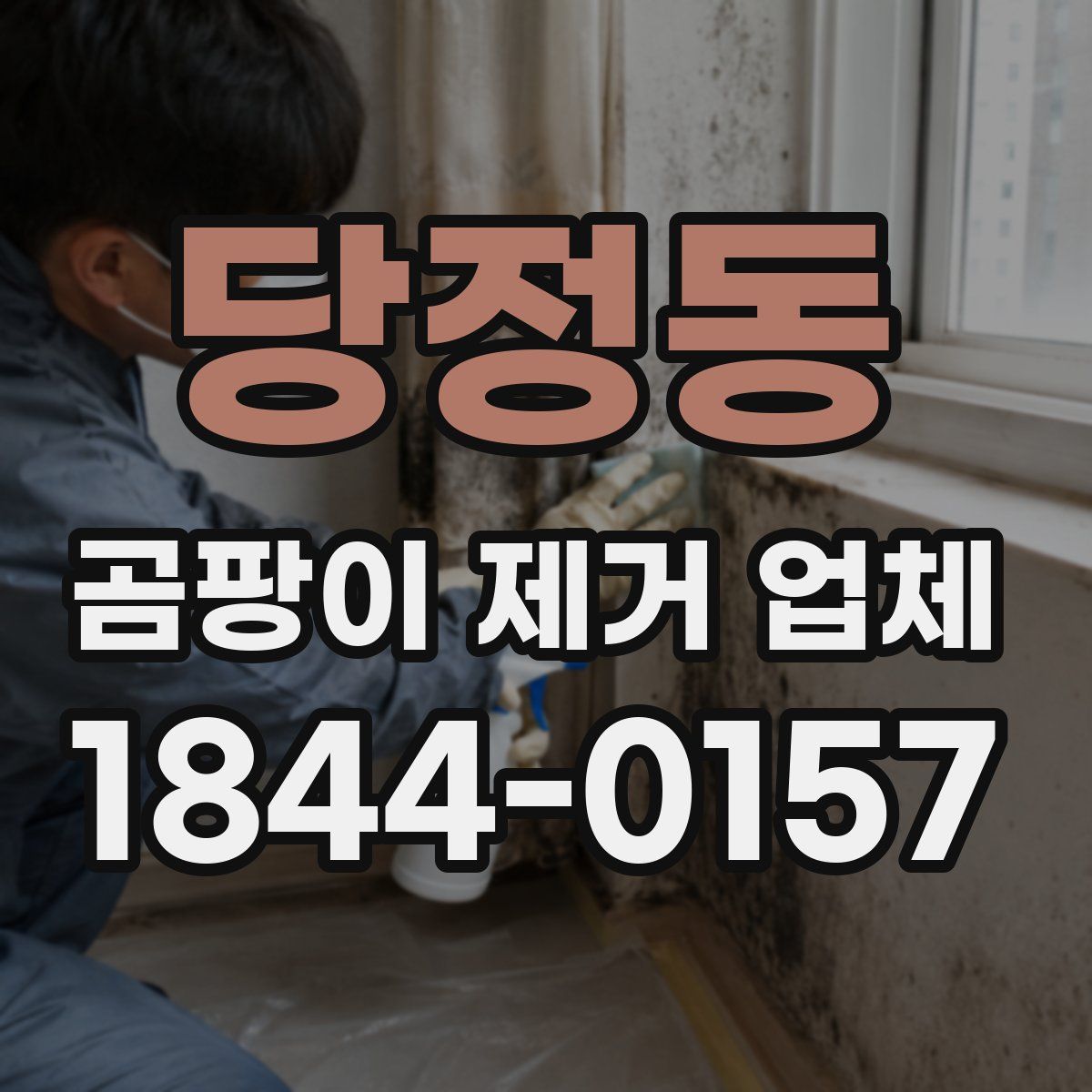 당정동 곰팡이 제거 업체