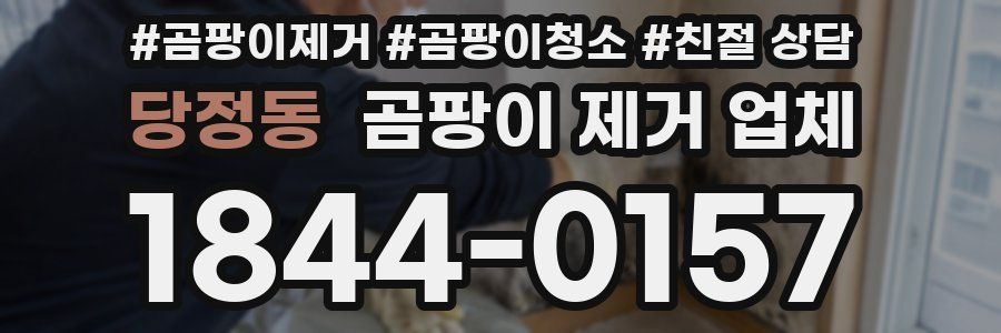 당정동 곰팡이 제거 업체