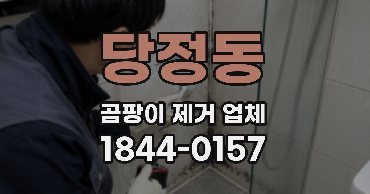 당정동 곰팡이 제거 업체