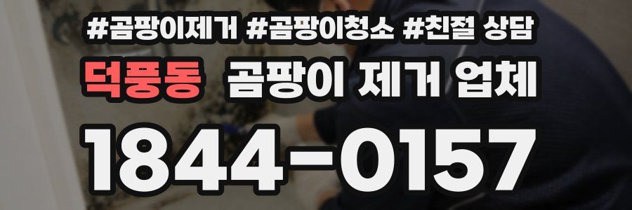 덕풍동 곰팡이 제거 업체
