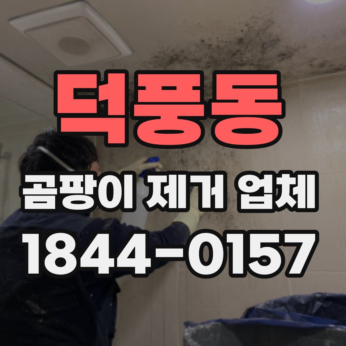 덕풍동 곰팡이 제거 업체