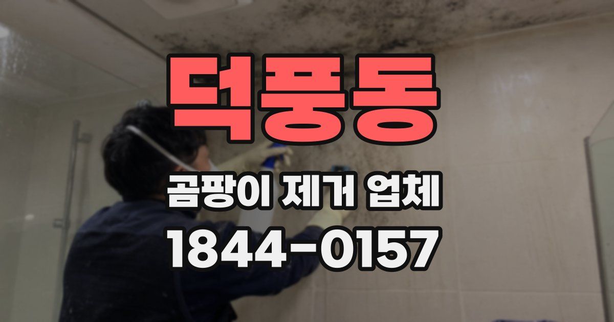 덕풍동 곰팡이 제거 업체