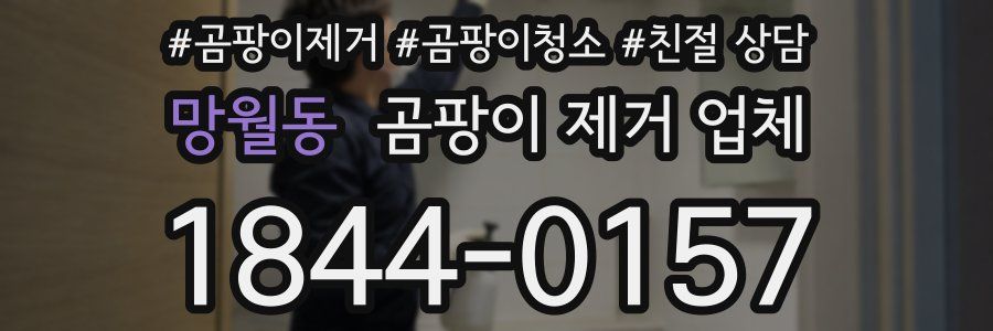 망월동 곰팡이 제거 업체