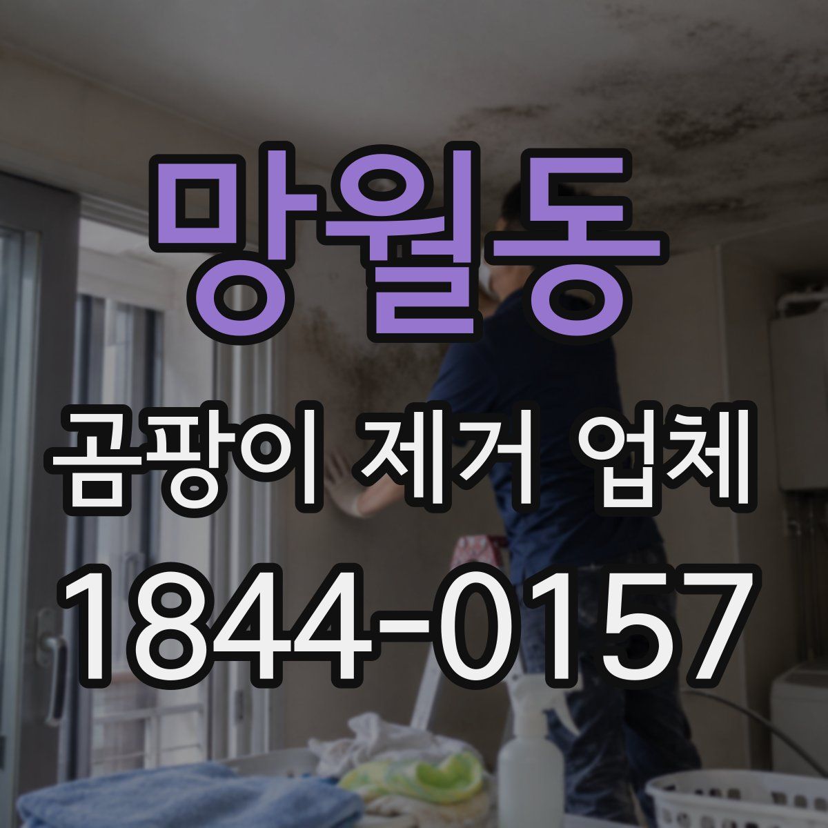 망월동 곰팡이 제거 업체