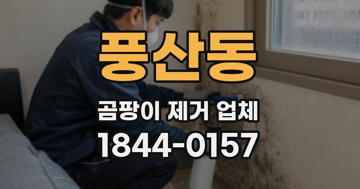 풍산동 곰팡이 제거 업체
