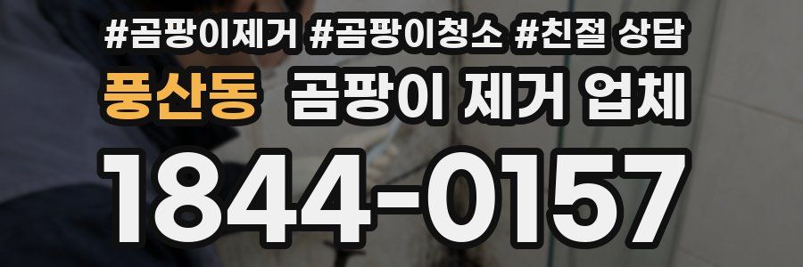 풍산동 곰팡이 제거 업체