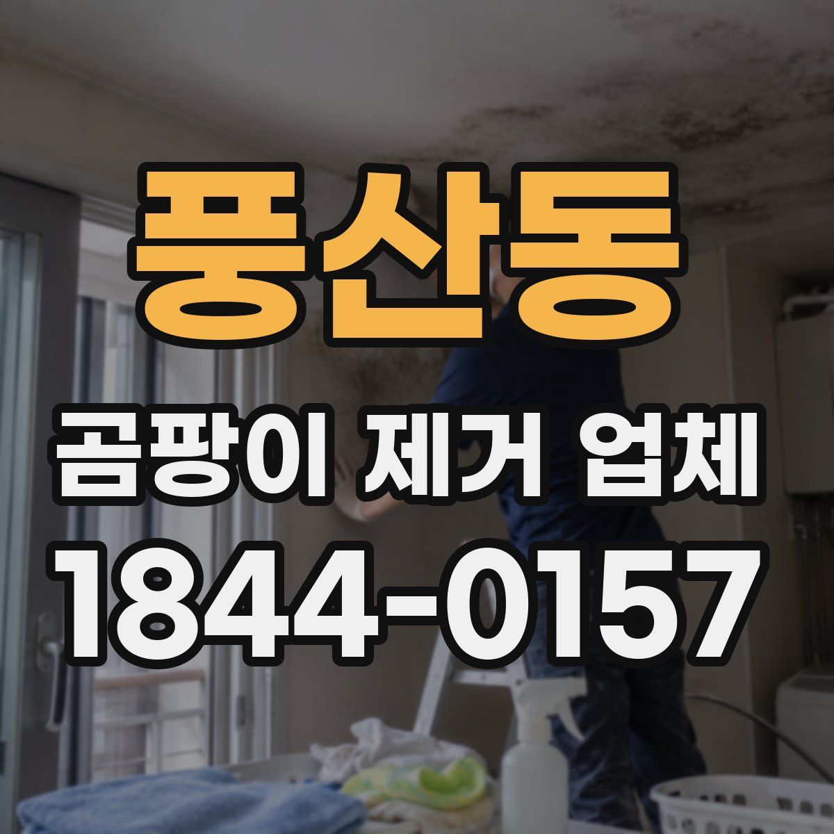 풍산동 곰팡이 제거 업체