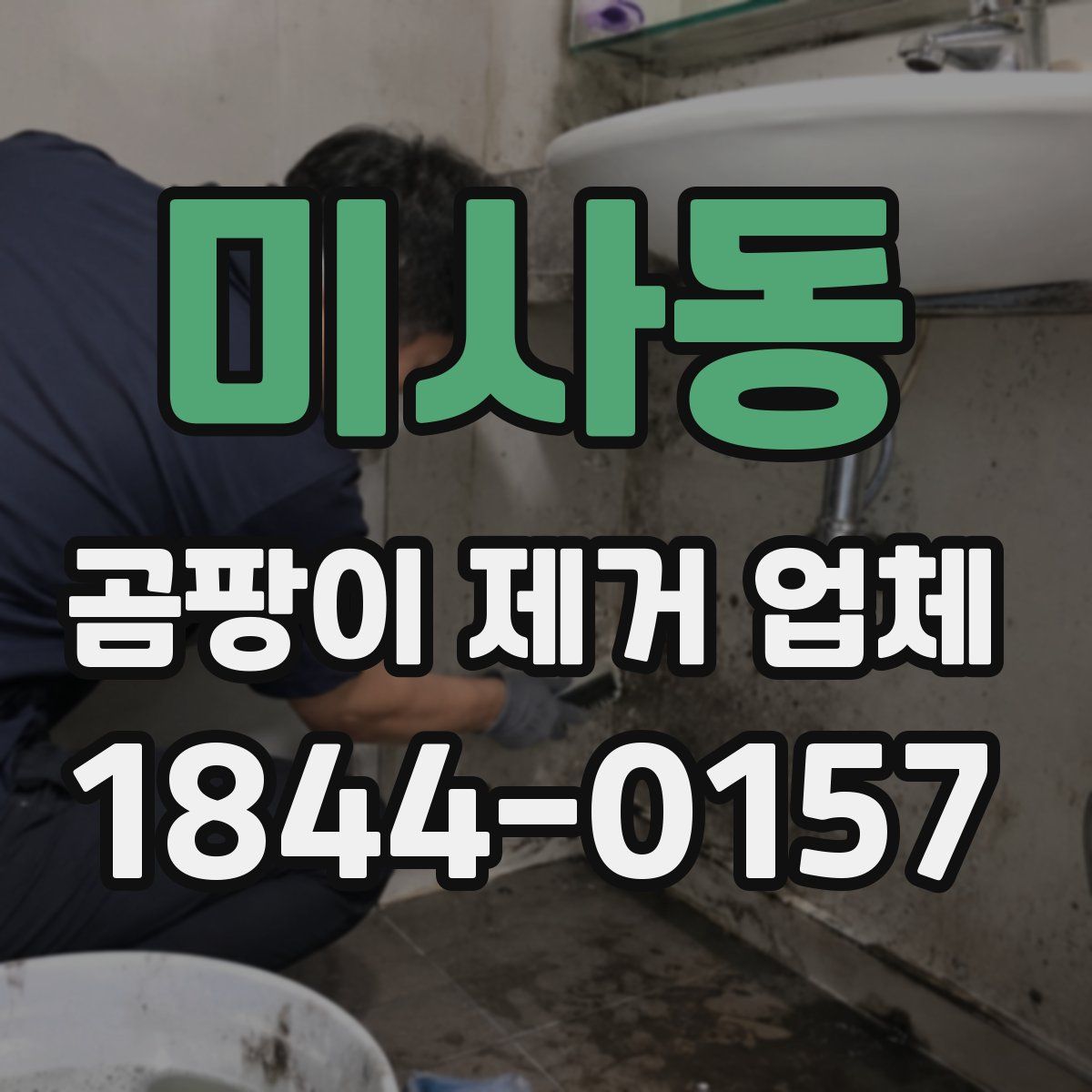 미사동 곰팡이 제거 업체