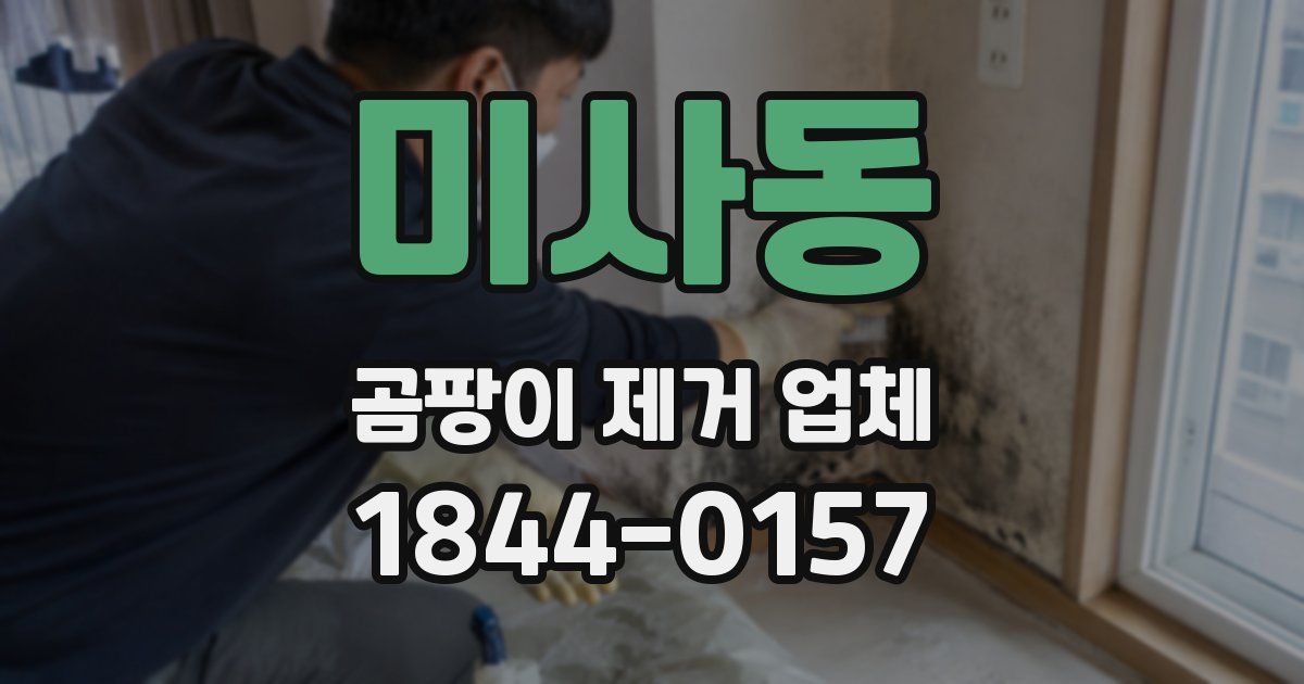 미사동 곰팡이 제거 업체
