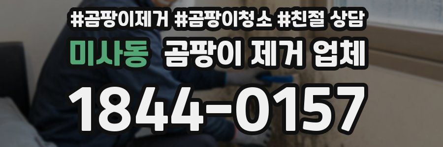 미사동 곰팡이 제거 업체