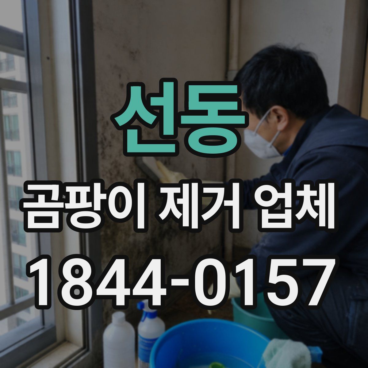 선동 곰팡이 제거 업체