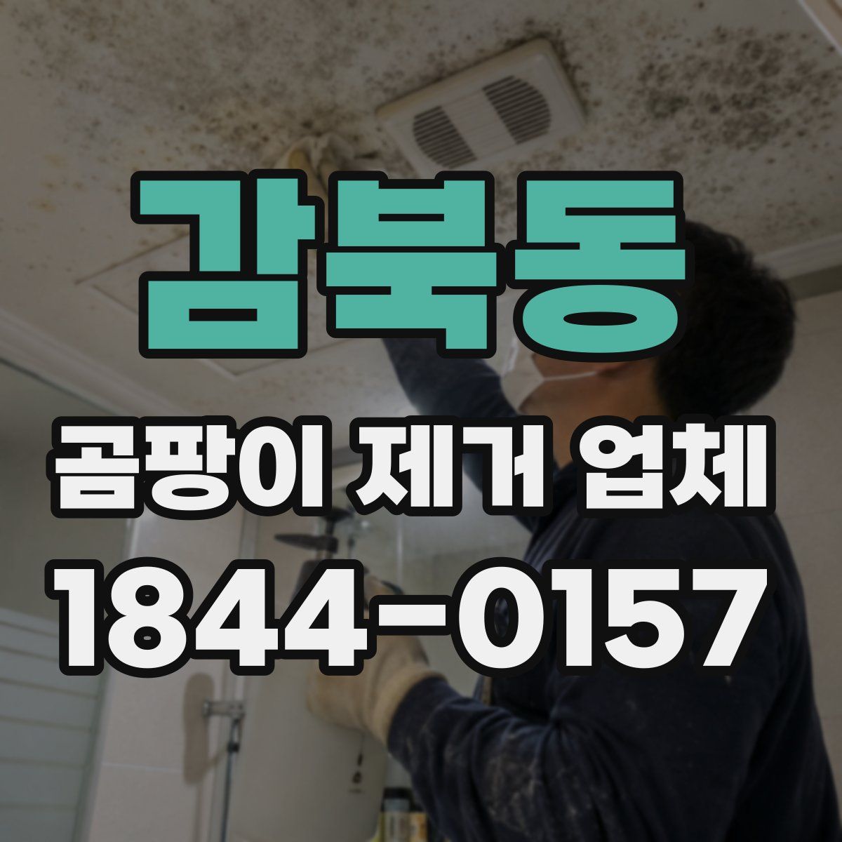 감북동 곰팡이 제거 업체