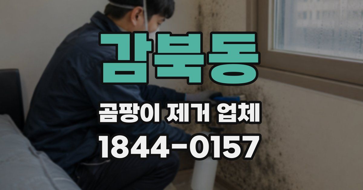 감북동 곰팡이 제거 업체