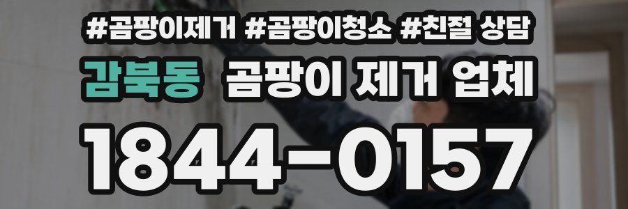 감북동 곰팡이 제거 업체