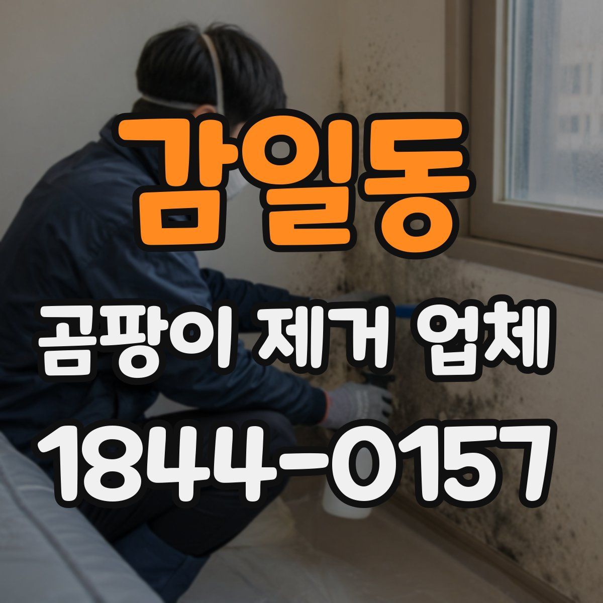 감일동 곰팡이 제거 업체