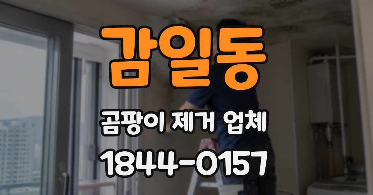 감일동 곰팡이 제거 업체