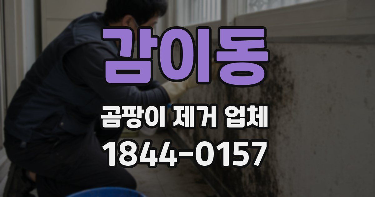 감이동 곰팡이 제거 업체