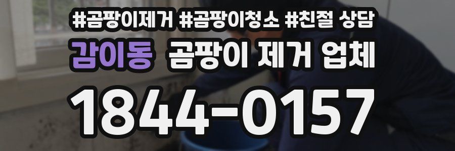 감이동 곰팡이 제거 업체