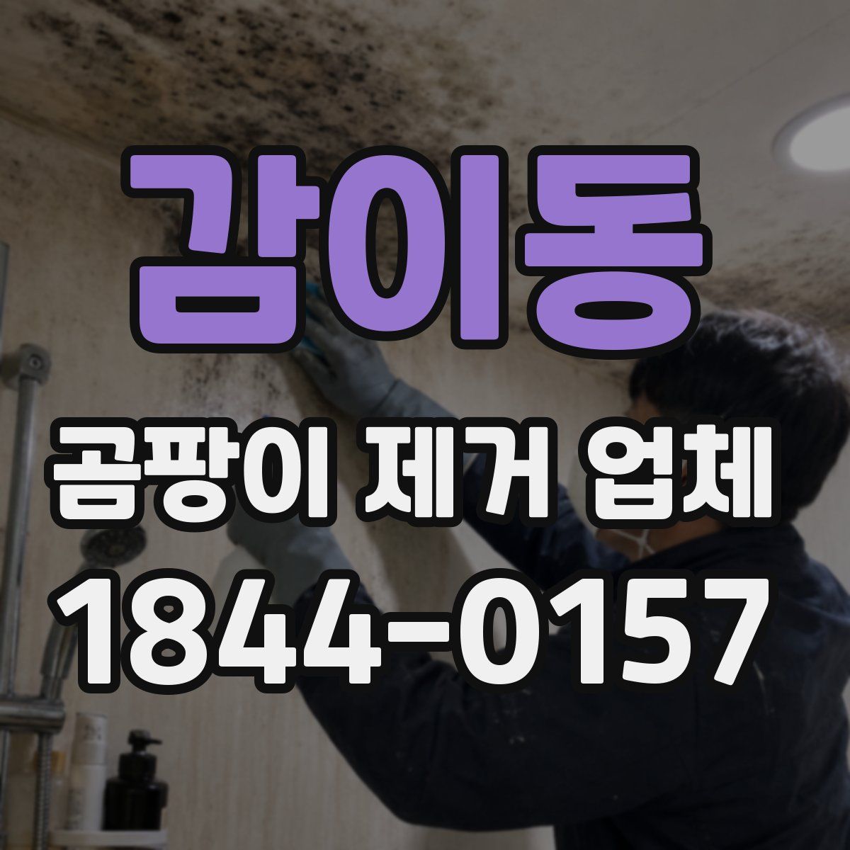 감이동 곰팡이 제거 업체