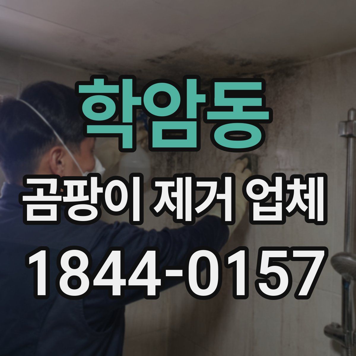 학암동 곰팡이 제거 업체