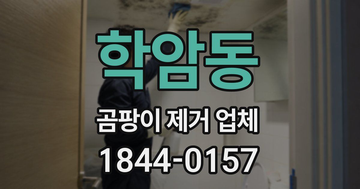 학암동 곰팡이 제거 업체