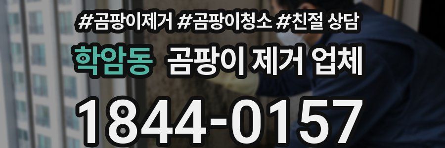 학암동 곰팡이 제거 업체