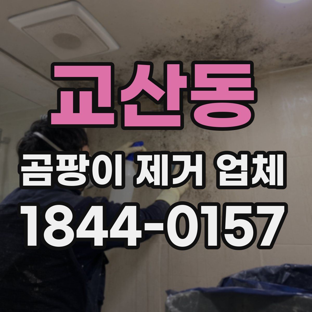 교산동 곰팡이 제거 업체