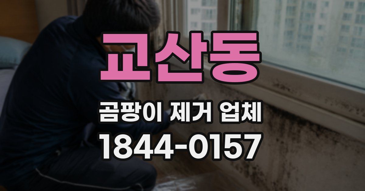 교산동 곰팡이 제거 업체