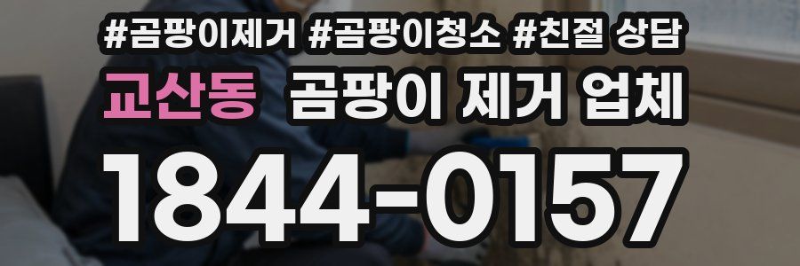 교산동 곰팡이 제거 업체