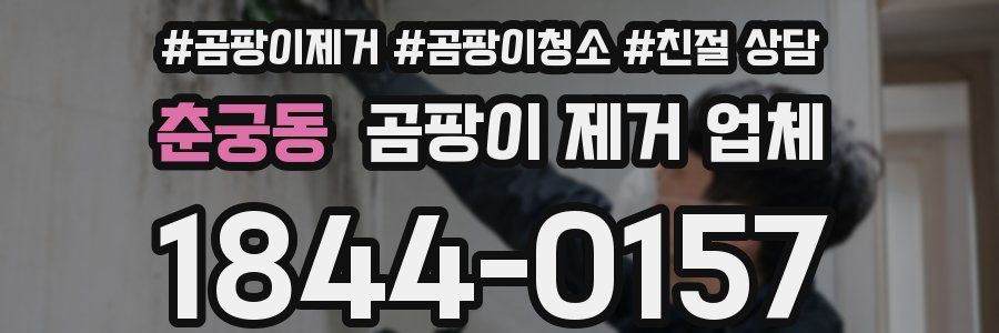 춘궁동 곰팡이 제거 업체