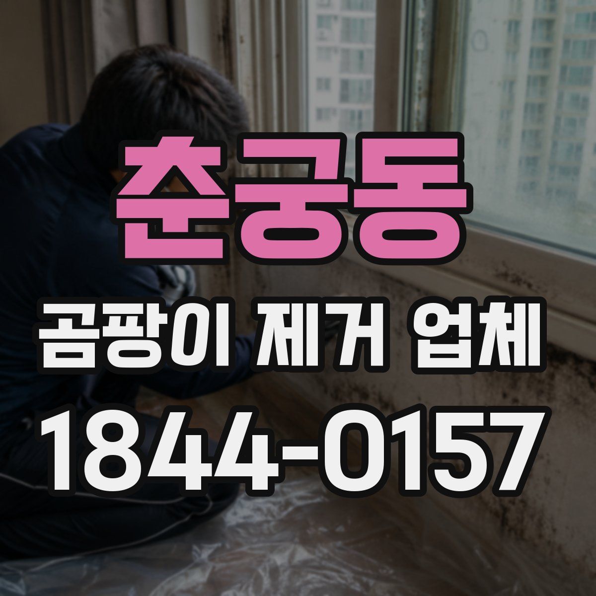 춘궁동 곰팡이 제거 업체