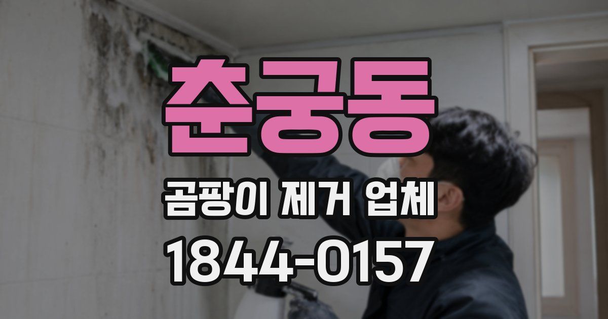 춘궁동 곰팡이 제거 업체