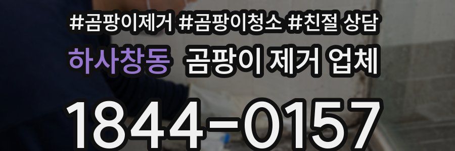 하사창동 곰팡이 제거 업체