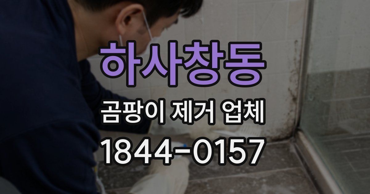 하사창동 곰팡이 제거 업체
