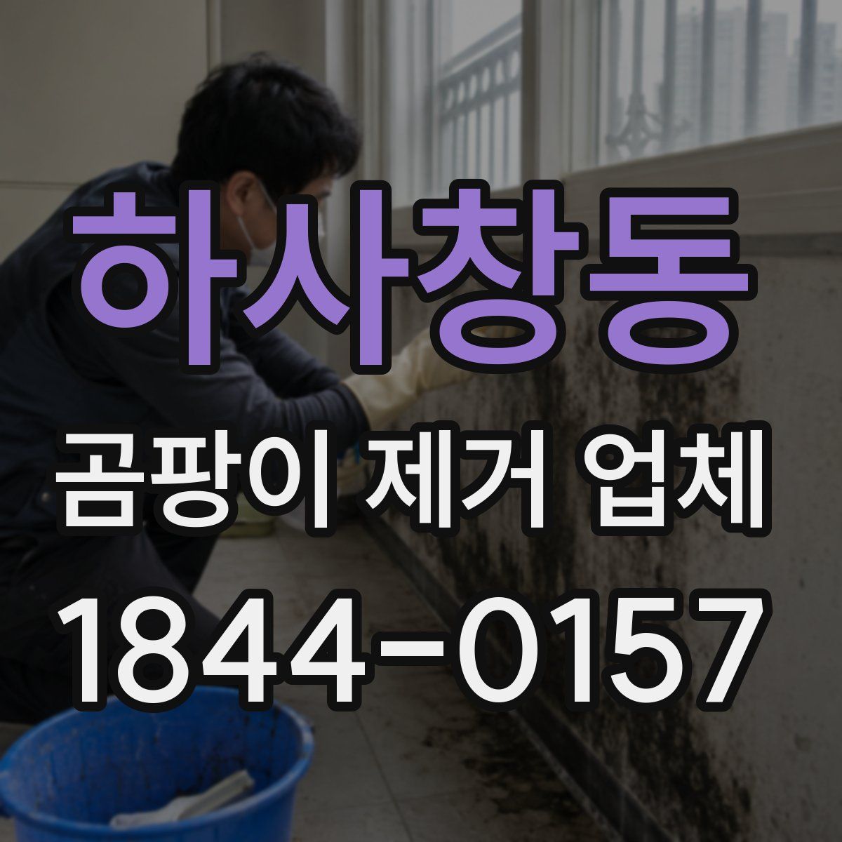 하사창동 곰팡이 제거 업체