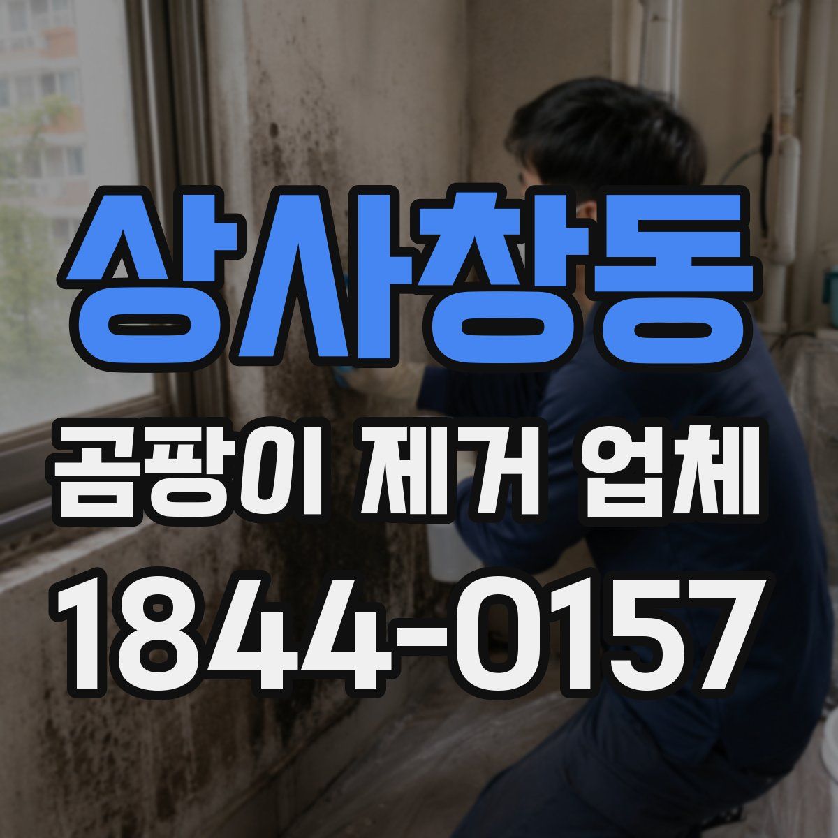 상사창동 곰팡이 제거 업체