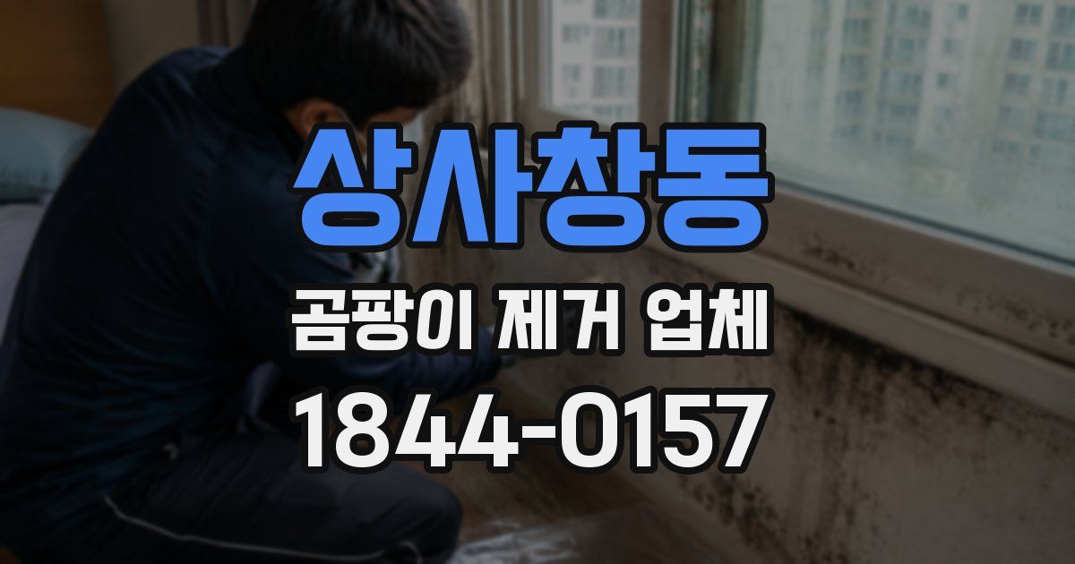 상사창동 곰팡이 제거 업체