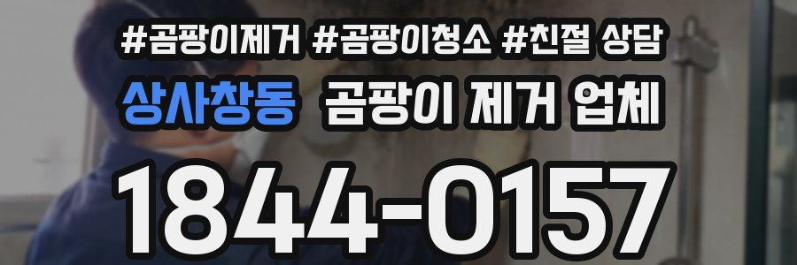 상사창동 곰팡이 제거 업체