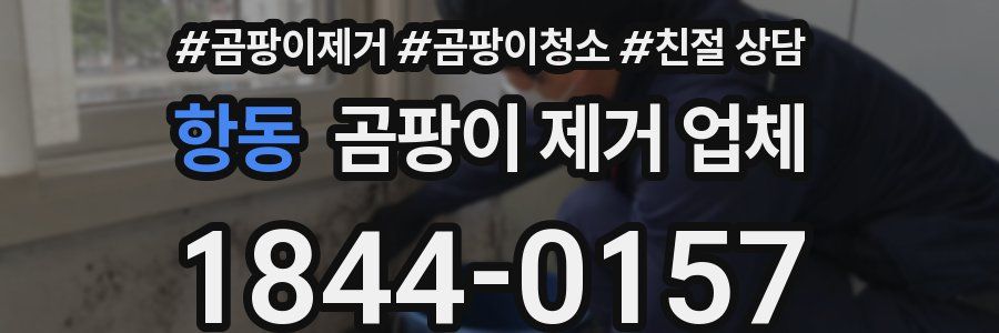 항동 곰팡이 제거 업체