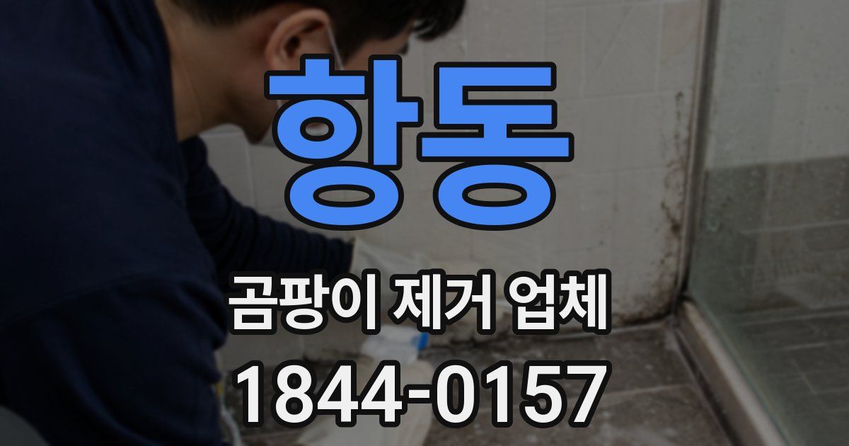 항동 곰팡이 제거 업체