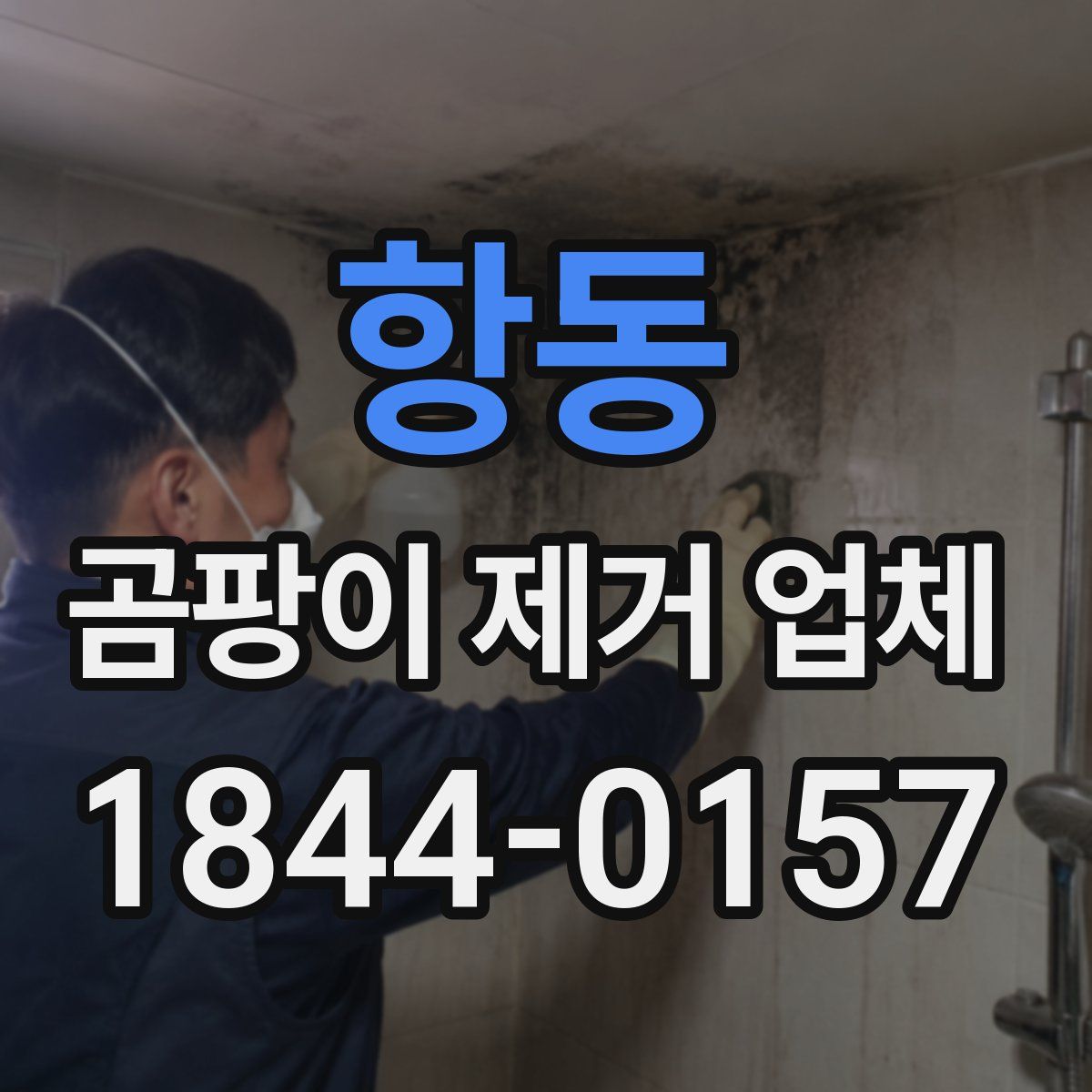 항동 곰팡이 제거 업체